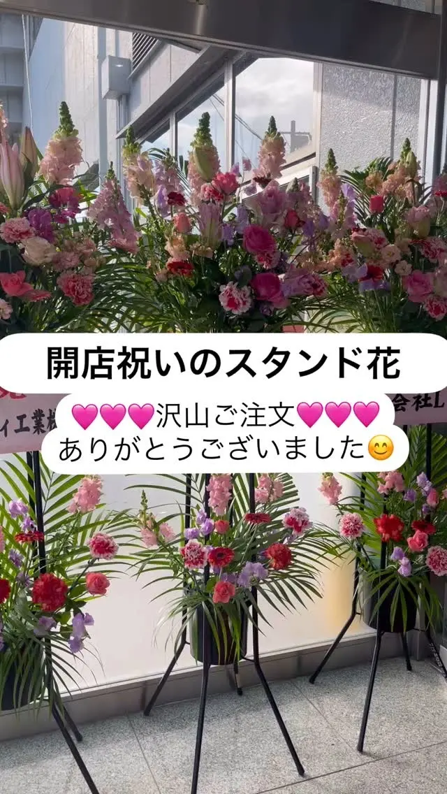 オープンのお花の沢山の
ご依頼ありがとうございました♪
沢山のお花とまたまた戯れさせていただきました🩷
お花屋さんなのに？お花屋さんだから？
お花て凄い良いよね🩷
綺麗な花達に癒されるました🩷#尾道花屋 #三原花屋 #福山花屋 #アイビー花物語 #花束 #アレンジメントフラワー #予約受付中 #おめでとうございます