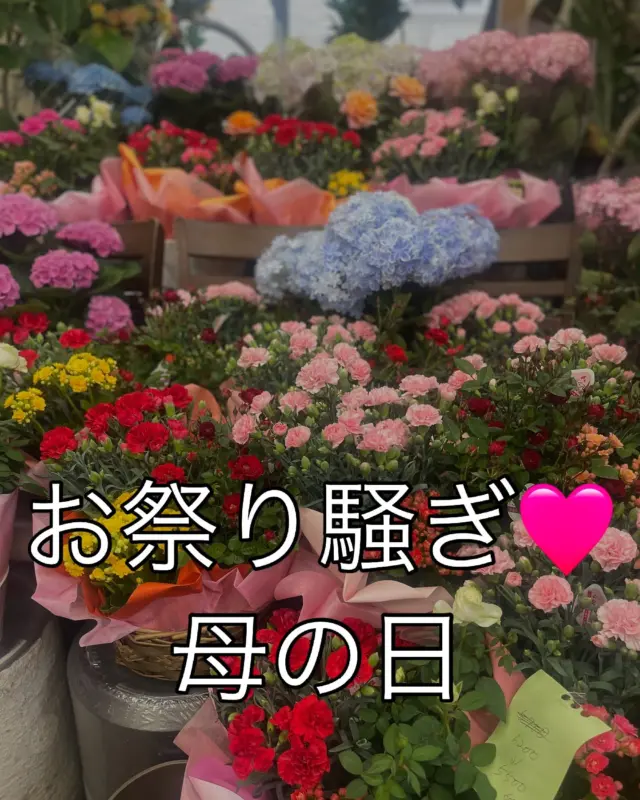 今年も沢山のご来店ありがとうございます🩷
沢山のご予約ありがとうございます🩷
明日、母の日当日になります㊗️
日頃感謝を込めてお花を送りましょう〜🎶

当店は只今毎年母の日の感謝を込めて
息子と娘がお手伝いしてくれます㊗️
感謝感謝💓
みんなでお越しをお待ちしております♪

電話予約も受け付けてます👍
0848561087

#尾道花屋#花大好き#お母さん大好き#いつもありがとう#カーネーション

実家も花屋ですが85才のママに
今年も真っ赤なカーネーション贈ります💓